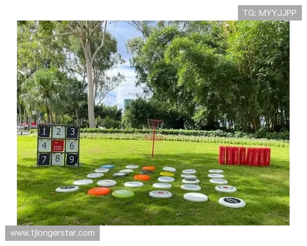 杭州飞盘队如何通过阵地战革新提升竞技水平与团队协作能力